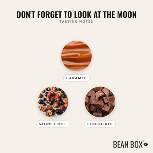 Don't Forget to Look at the Moon - Café en grano 12 oz miniatura 3