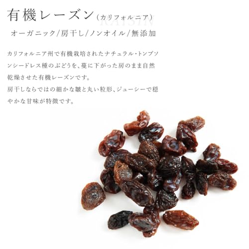 San'ta Rosa レーズン 500g