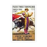 QIENAZIO Póster de viaje vintage de La Plaza de Toros de El Córdobs en Torremolinos, lienzo, decoración de pared, pósteres, hogar, bar, restaurante, garaje, cafetería, logotipo, regalos, 40 x 60 cm