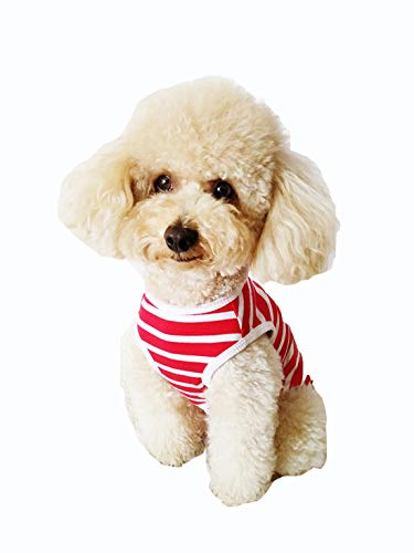 Culotte mignonne pour chien et pantalon hygiénique lavable pour femelle