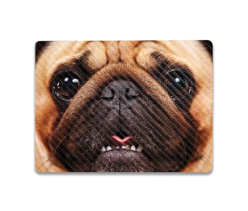 Image of MightySkins Carbon Fiber Skin Compatible with Microsoft Surface Laptop Go 3 (2023) Full Wrap Kit - Pug | Protective, Durable Textured Carbon Fiber Finish | Made in The USA