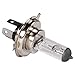 Scooterworks Halogen Bulb (H4 35/35 Watt); Buddys