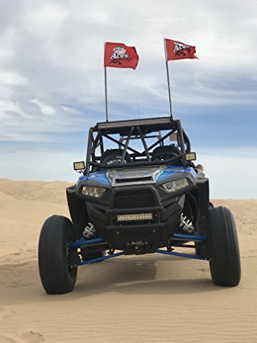 Deluxe Lighted Whips With Quick Connect And 1 Year Warranty (4 Foot, 200 Combinations) #TOP5