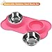 VIVAGLORY Dog Bowls, Dog Food Bowls, Stainless Steel Cat Puppy Water Bowls with Non Spill Skid Resistant Silicone Mat, Medium, Pink