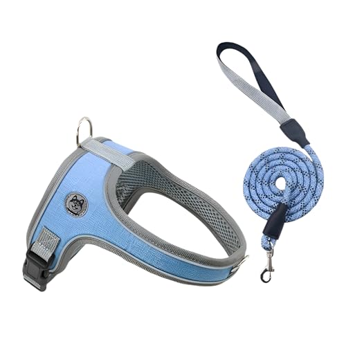 [Maidisly]pn[lX Th^ ʋCyyʐ݌vz^^̉KU Eh~@\ |GXef u[/IW/O[