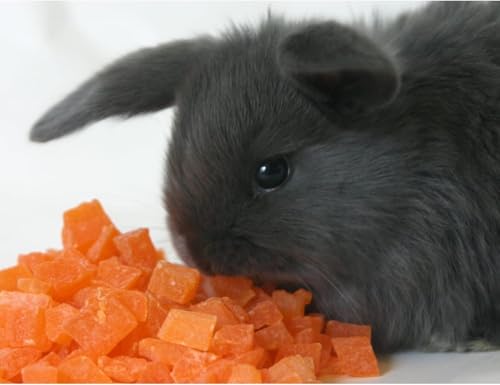 Exotic Nutrition Papaya Treat 1/2 LB - Healthy Natural Dried Fruit Treat - Rabbit, Guinea Pig, Hamster, Gerbil, Rat, Parrot, Sugar Glider, Squirrel, Birds & Small Pets - Thumbnail 2