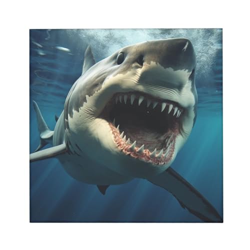 Toile murale requin avec cadre de haute qualité 40cm - 3