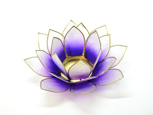 Mystery Mountain Hermoso Gran Lotus té portavelas Capiz Shell Luz Violeta y Ribete de Oro Blanco Cover
