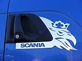Einzigartige poliertem Edelstahl Zubehör für Scania R/G/P