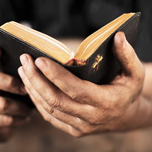 Bible Study - The Birth of the Church Podcast Por  arte de portada