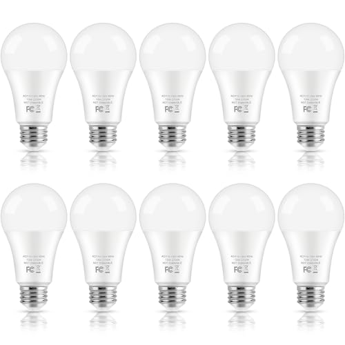 LED Light Bulbs, 100 Watt Equivalent A19 LED Bulbs, 13W 2700K Warm White 1500 Lumens Non-Dimmable Bright E26 Edison Medium Screw Bulbs for Home Bedroom Kitchen Living Room Office Lamp, 10-Pack