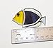 Yellow and Purple Tropical Fish Handmade Stained Glass Sun Catcher Ornament