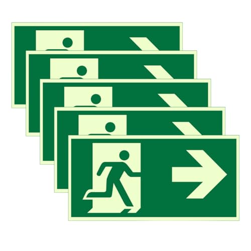 GIDWRIY 5 Stück Notausgang Links Rechts 300 X 150 mm,Sicherheitsschilder,Schild Notausgang Nachleuchtend,Fluchtweg Schild Rettungsweg,Notausgangsschild Selbstklebend,Fluchtweg Aufkleber Plastik