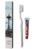 TRAVELWELL Individually Wrapped Hotel Toiletries Amenities Travel Disposable Toothbrush and Toothpaste Boxed 100 Sets per Case Landscape Series