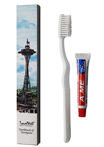 Landscape Series Individually Wrapped Disposable Toothbrush and Toothpaste Boxed 100 Sets per Case | Travel Size Toiletries | Hotel Toiletries Bulk Set