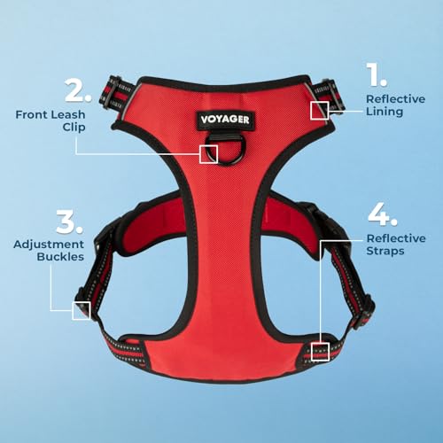 Image of Voyager Dog Harness Dual Leash Attachment No-Pull Control Adjustable Soft but Strong Pet Harness for Medium and Large Dogs with 3M Reflective Technology, Leash Set Red Nylon, S (Chest: 16-20 inch)