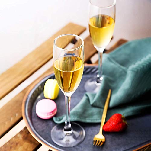 Image of SYANKA Italian Premium Champagne Flutes Wine Glasses Set of 8 Ideal for White or Red Wine Glass, Crystal Clear, 170 ML