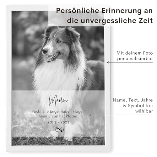 DEL MÀ Unique & Personal Andenken an verstorbenen Hund Bild im Stil einer Gedenktafel zur Erinnerung & Trauer personalisiert mit Foto Geschenk für Hundebesitzer mit Bilderrahmen Din A4 (Hochformat)