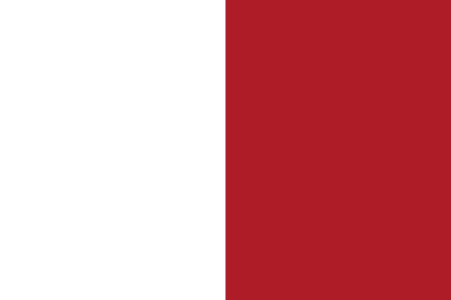 Drapeau Helmond vlag 1959-2004 pavillon historique commémoratif