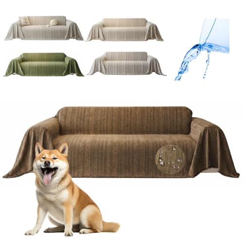 Lifetips ČiShiba Inuj \t@[Jo[ k  􂦂 h }`Jo[ 2l| 3l| It IȂ ~ Eh~ LΉ lGʗp iuEj i300180CMj