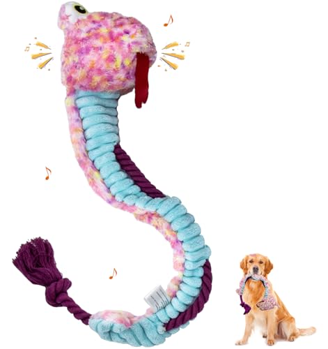 Flechazo �� �������� ��� ���̏o�� �� �ʂ������ ���^�� ���^�� ��^���p (�X�l�[�N)