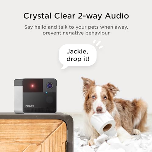 Image of Petcube Play 2 Wi-Fi Pet Camera with Laser Toy for Cats & Dogs, 1080P HD Video, 160 Full-Room View, 2-Way Audio, Sound /Motion Alerts, Night Vision, Pet Monitoring App