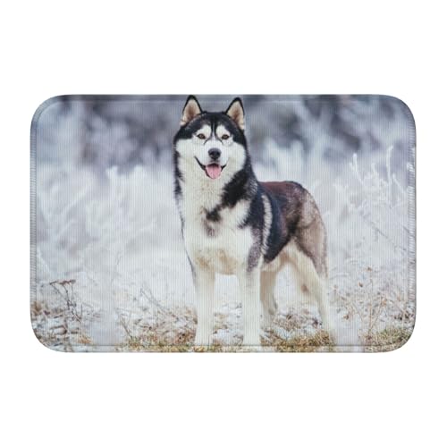 փ}bg nXL[  hA}bg oX}bg  O DƂ ~   䏊 @ 􂦂 ϖՐ ƒp Ɩp lC lGʗp 40×60cm