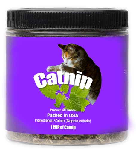 DesertUSA, Catnip Blend - Non-Addictive Catnip Treats for Enhanced Playfulness. North American Crafted, 100% Natural. Ideal for Complementing Catnip Toys, Catnip Spray, and Cat Accessories (1 Cup)