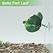 CAPASTEC Betta Fish Leaf, Natural Habitat Simulation for Betta Spawnings Grounds, Betta Spawnings Leaves, Resting Bed, Double Leaves, Dark Green