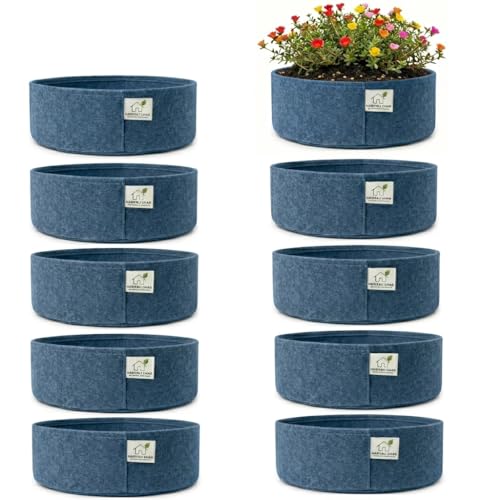 Image of 400 GSM Geo Fabric Round Grow Bags 12x6 Inch, Blue Planting Bags for Terrace and Kitchen Gardening Pack of 10