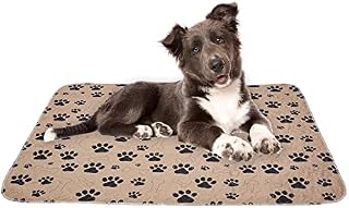 Drylife Washable Puppy Pads | Reusable Super Absorbent Extra Large Dog and Pet Training Mats | Anti-Slip, Quick Absorption, Locks in Pee, Odour Control, Floor Protection - 80x90cm (Grey, 1 Pack)