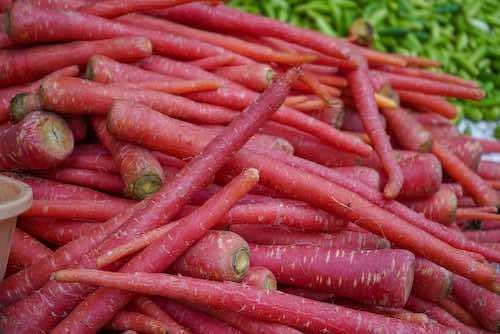 Willvine Nutri-Red' Carrot-UK-11H