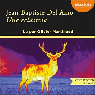 Couverture de Une &eacute;claircie