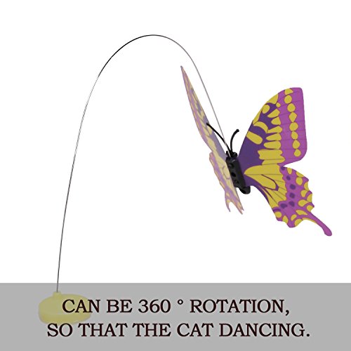 Befied Gatto giocattolo piuma Wedel Funny