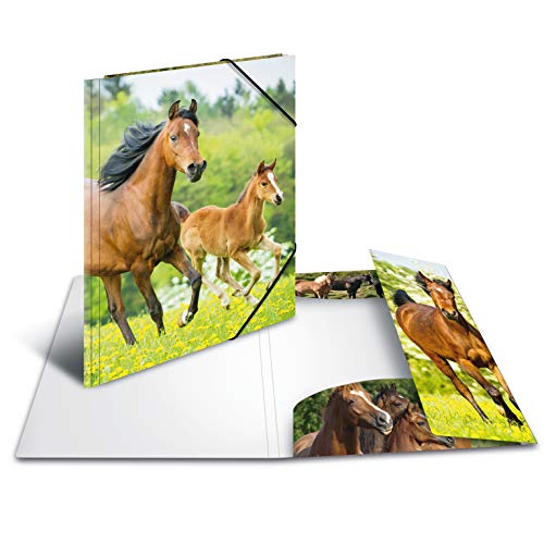 Carpetas Plastico A4 HERMA 7140 Carpeta de dibujo Animales con motivo Caballos, A4, plástico resistente, con impresión interior, carpeta de 1...