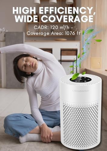 Purificador de Aire MEGAWISE para Uso en Hogar miniatura 6
