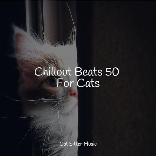 Play Chillout Beats 50 For Cats by Cat Music, RelaxMyCat & Official Pet Care Collection on