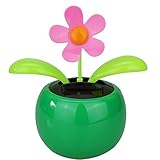 Sehr schöne Blumen, die den Prozess schütteln, geben den Menschen Inspiration und gute Laune.Geeignet für Autos, Balkone, Büros.