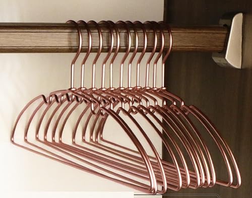 yĂȖؐnK[ OnK[ A~jE Xy[XZ[o[ hK ϋv ֗Ȏ[ (5{[Y)