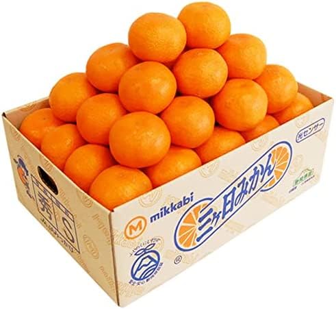 x11x O݂ yGizSTCY 3L ( 36 O ) OP݂ ݂ JA݂ }G ~J lߑI