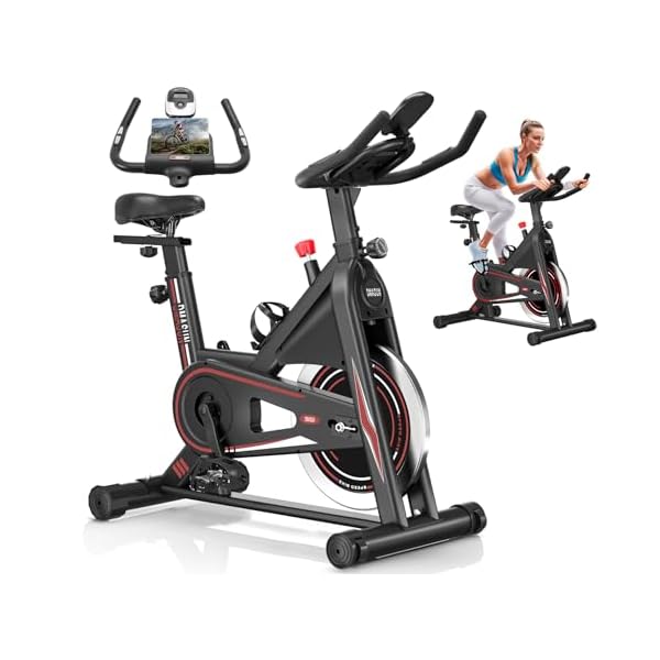 Exercise Bike, DMASUN Classic Brake Pad Pro Stationary Bike for Home with 330 LB Capacity, Workout Bike with Comfortable Seat Cushion, Digital Display with Tablet Holder