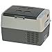 NORCOLD INC 1.1 cu. ft. Portable Refrigerator/Freezer for RV, Trucks, Boats, Camping - NRF30, Gray (NRF-30)