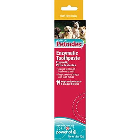 Toothpaste For Dogs Cover
