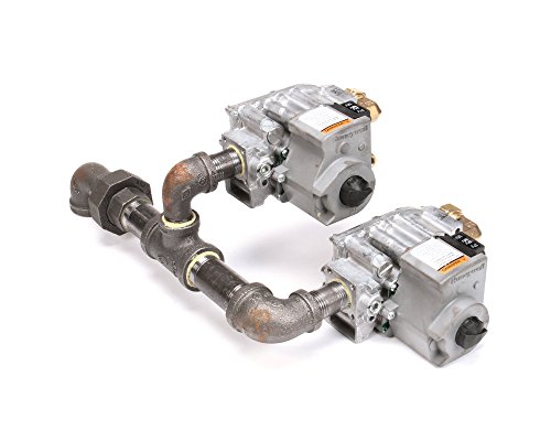 Cleveland S110623 Gas Valve Assembly Ng Gem10