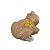 Artpaul Frog Statue Garden Decor Figurines- Fairy Garden Accessories Outdoor Resin Frog Statues Ornament&Housewarming Gift for Garden,Yard,Patio