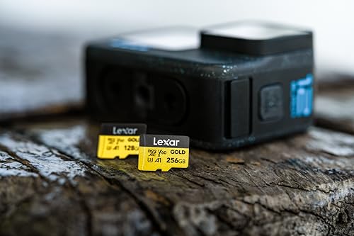 Lexar Lexar Professional Gold MicroSDXCカード 256GB の商品画像 1