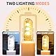 4 Stücke Mini LED USB Lampe mit Flexiblem Schwanenhals für Laptop und PC, USB Schwanenhals Lampe, Einstellbare Tastaturbeleuchtung, Abnehmbarer Lampenschirm, Silber (2 Weiß + 2 Warmgelb)