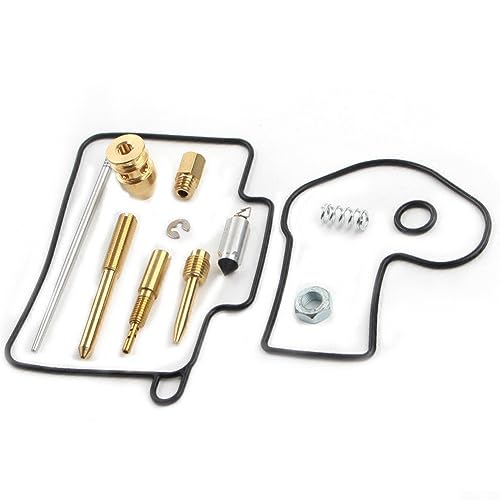 CNANRNANC Kit di ricostruzione carburatore