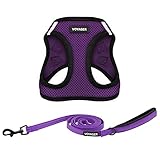 Voyager Step-in Air All Weather Mesh Harness and Reflective Dog 5 ft Leash Combo with Neoprene Handle, for Small, Medium and Large Breed Puppies by Best Pet Supplies - Purple/Black Trim, Medium