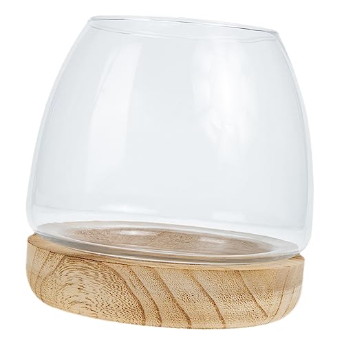 LEDMOMO 1 Zbg KX ANA vgX^h  eE{E e C A  e[u KX̋  {E k͔| ؐ